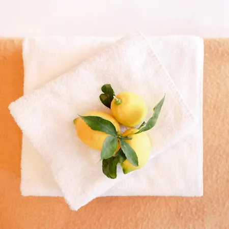 Lemon Hotel Mentone