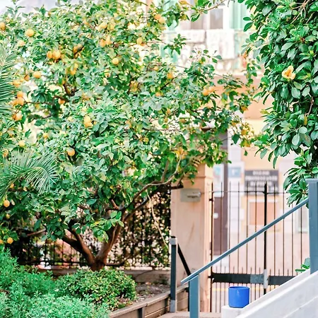Lemon Hotel